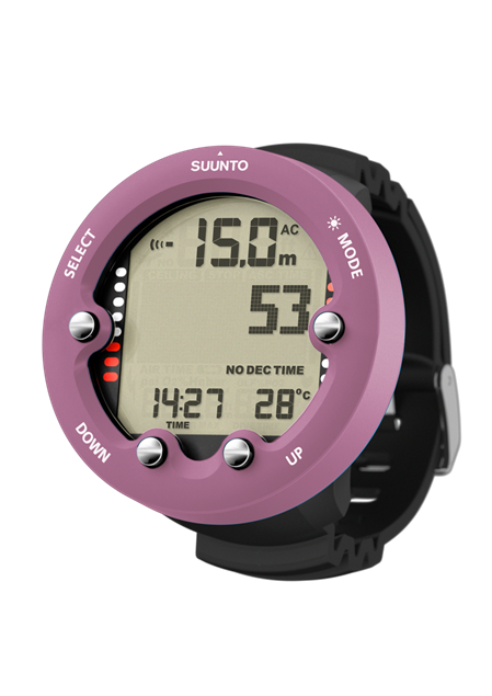CDSERVICES-1039